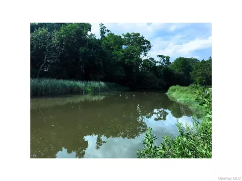 View/Area - 504 Milton Rd, Rye, NY 10580 photo 2 of 3