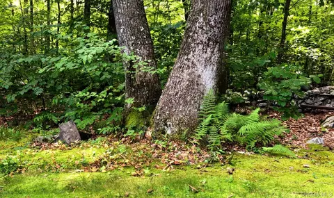 Exterior - 30 Old East Rd, Wallkill, NY 12589 photo 8 of 13