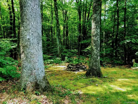 Exterior - 30 Old East Rd, Wallkill, NY 12589 photo 10 of 13