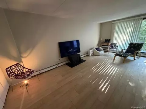 Living - 150 Overlook Ave #5E, Peekskill, NY 10566 photo 2 of 2