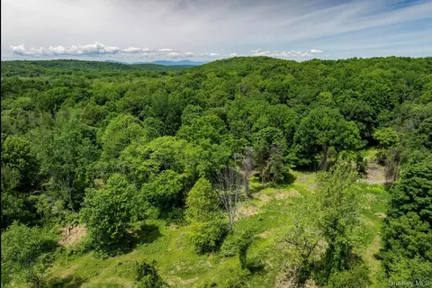 00 Route 7, Copake, NY 12516 photo 2