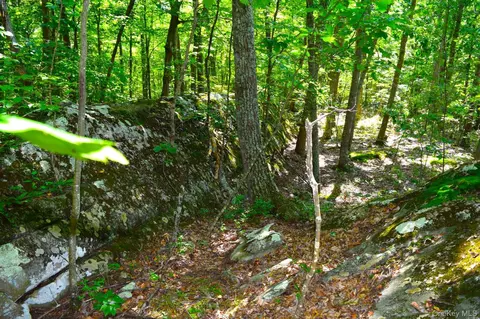 33 Old East Rd, Plattekill, NY 12589 photo 7