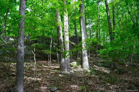 33 Old East Rd, Plattekill, NY 12589 photo 21