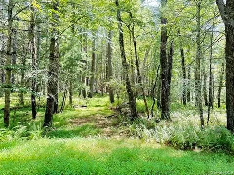 lot3 18 Fish Cabin Rd, Lumberland, NY 12737