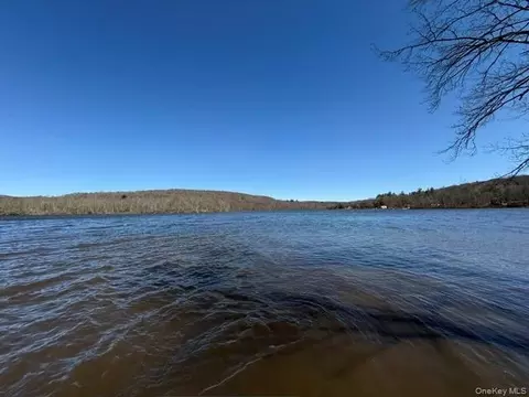 lot28 53 Shore Road Ext, Liberty, NY 12783