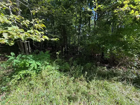 lot20 1 Mt Prosper Rd, Mamakating, NY 12790