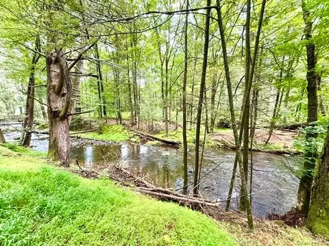 lot9 Black Forest Rd, Lumberland, NY 12737