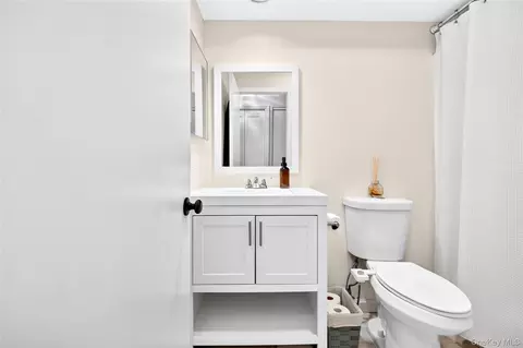 Bath - 1203 Eagle Bay Dr, Ossining, NY 10562 photo 3 of 3
