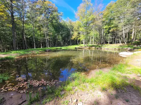 361 Ahrens Rd, Liberty, NY 12768