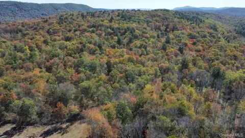 tbd W Hill Rd, Austerlitz, NY 12017 photo 5