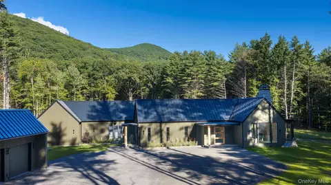 1003 Coldbrook Rd, Olive, NY 12412