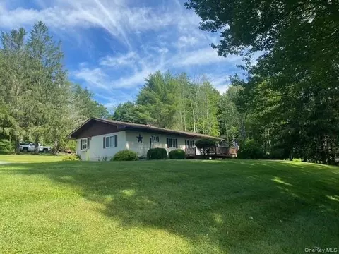 10 Lakeview Rd, Delaware, NY 12750