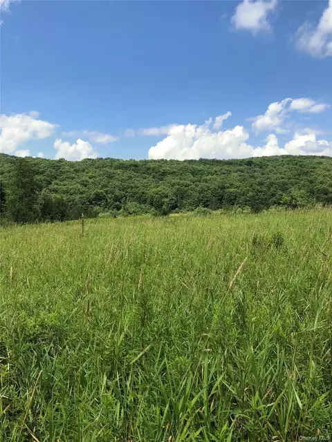 126 E Afton Rd, Afton, NY 13730