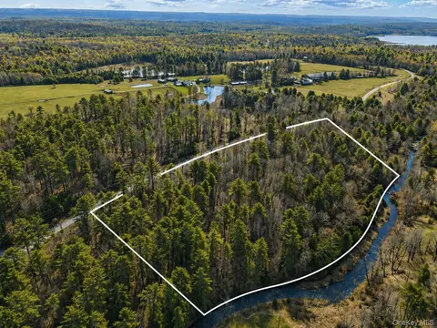 lot3 Chapin Trl, Bethel, NY 12786