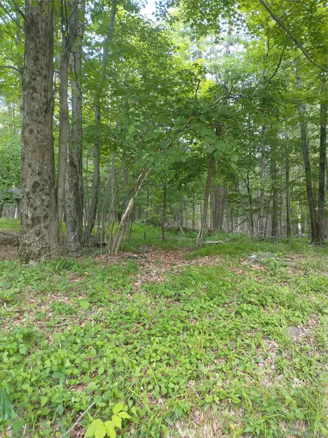 Old Loomis Road, Liberty, NY 12734