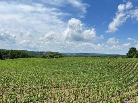 Route 82, Ancram, NY 12503 photo 9