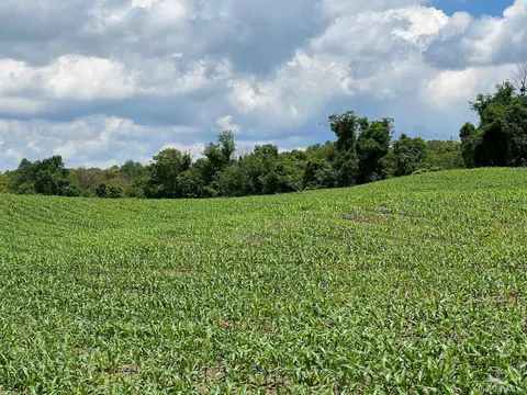 Route 82, Ancram, NY 12503 photo 7