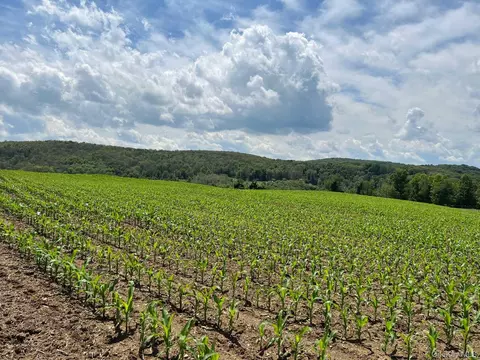 Route 82, Ancram, NY 12503 photo 5