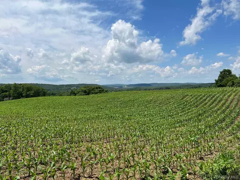 Route 82, Ancram, NY 12503 photo 8