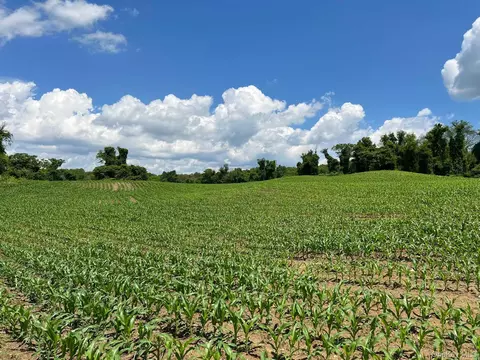 Route 82, Ancram, NY 12503 photo 6