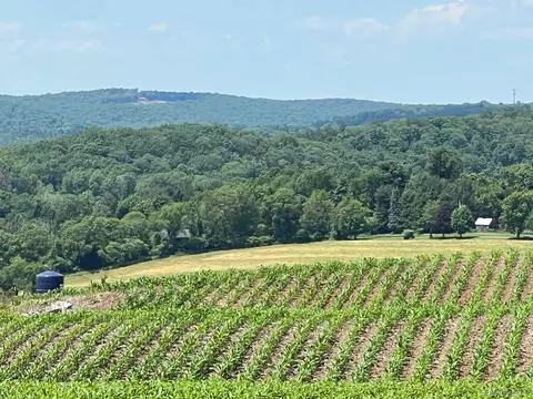 Route 82, Ancram, NY 12503 photo 13