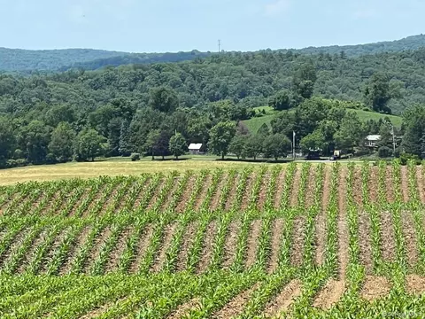 Route 82, Ancram, NY 12503 photo 27
