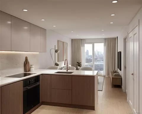11-37 44th Dr #516, Long Island City, NY 11101