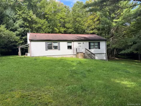 155 Blanchard Rd, Swan Lake, NY 12783