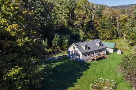 3 Parks Rd, Livingston Manor, NY 12758