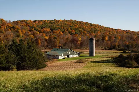 155 Milan Hollow Rd, Clinton, NY 12572