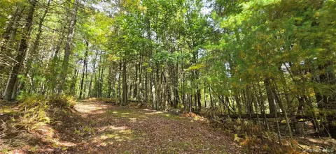 lot6 17 State Rt 97, Tusten, NY 12764