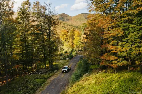 tbd Macdaniel Rd, Woodstock, NY 12409