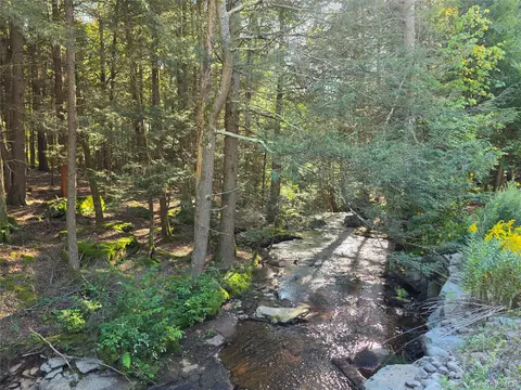 tbd Lily Pond Rd, Liberty, NY 12768