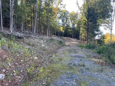 Mamakating Road, Mamakating, NY 12790
