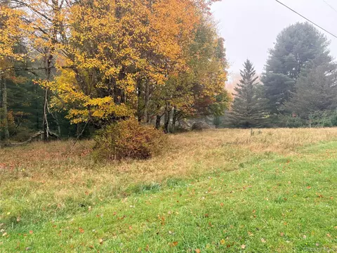 Horseshoe Lake Road, Bethel, NY 12720