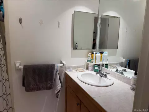 Bath - 1408 Eagle Bay Dr, Ossining, NY 10562 photo 1 of 3