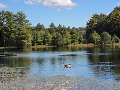 lot11 Deer Meadow Rd, Bethel, NY 12786