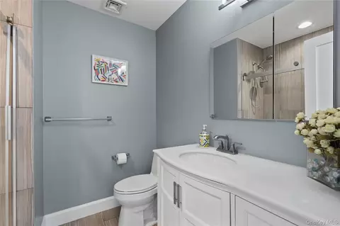 Bath - 9 Deer Run, Rye Brook, NY 10573 photo 4 of 5
