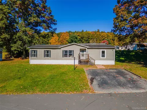 60 Ponderosa Rd, Mamakating, NY 12721
