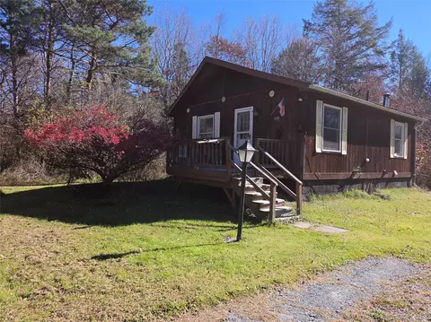 119 Mineral Springs Rd, Livingston Manor, NY 12758