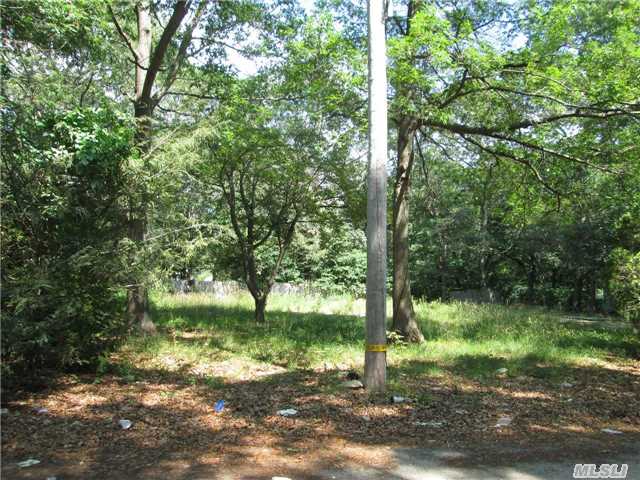 21 Erna Dr, Coram, NY 11727 photo 1