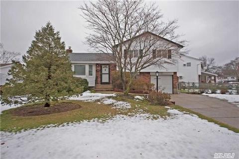 Undisclosed, Commack, NY 11725 photo 1