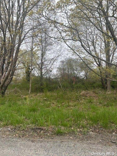 V/l Forest Road, Mastic Beach, NY 11951