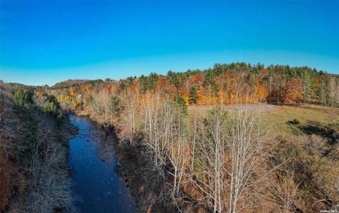 State Route 17b, Delaware, NY 12723
