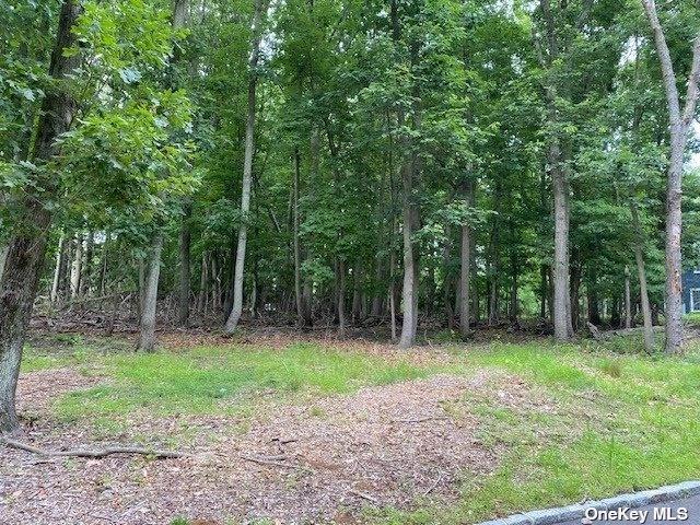 V/l W Meadow Road, East Setauket, NY 11733