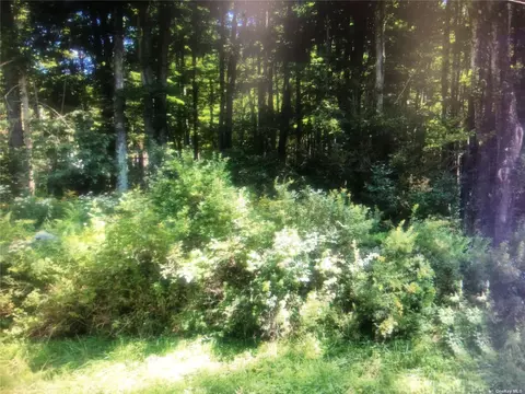 Lot 1 County Hwy 73, Bethel, NY 12720