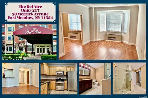 50 Merrick Ave #217, East Meadow, NY 11554