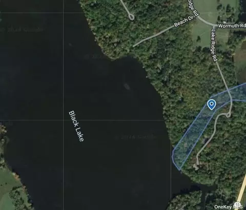 31 Lake Ridge Rd, White Lake, NY 12786