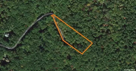 97 Gregory Rd, Lumberland, NY 12737
