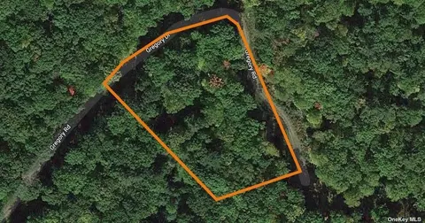 78 Gregory Rd, Lumberland, NY 12737